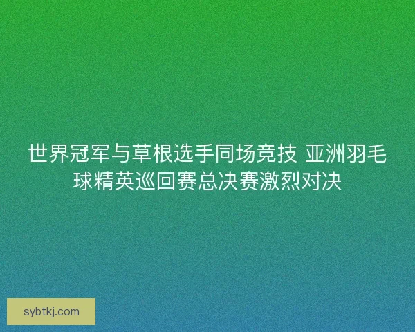 世界冠军与草根选手同场竞技 亚洲羽毛球精英巡回赛总决赛激烈对决